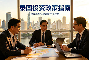 投资政策